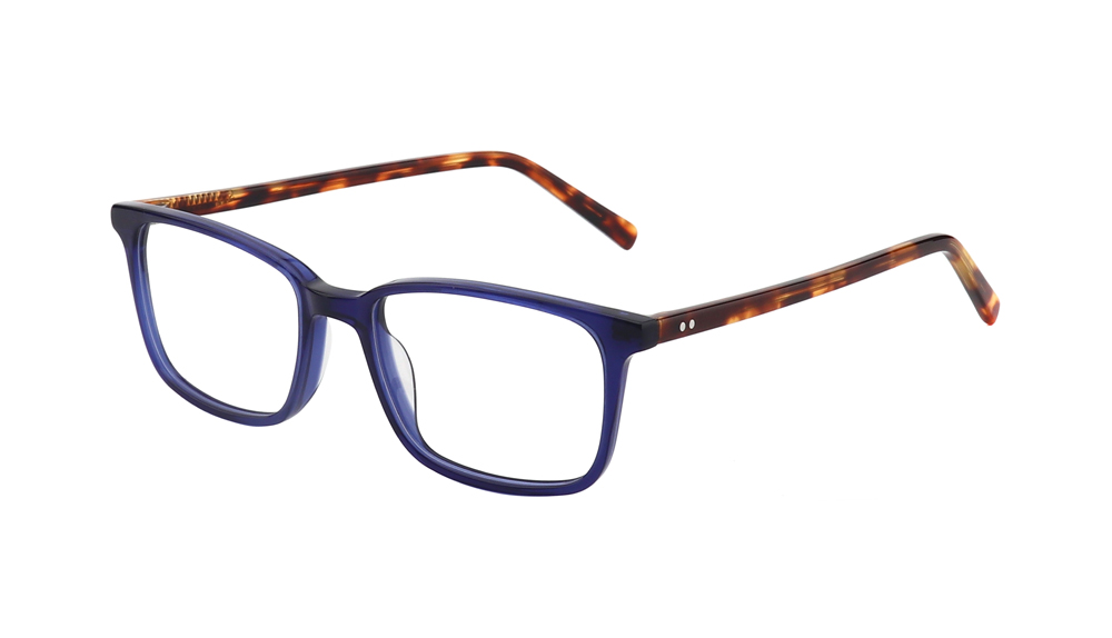 BOA1073_Wenzhou Bomin Eyewear Co., Ltd.